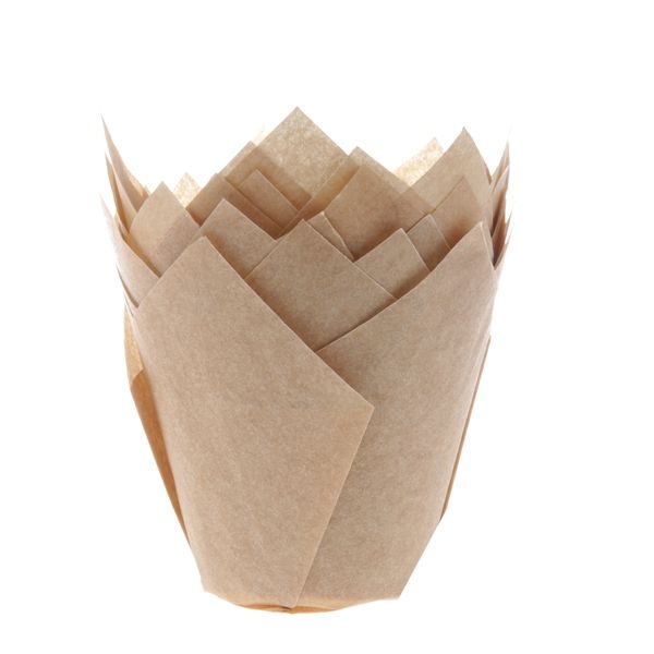 Tulip Cupcake Case - Craft 